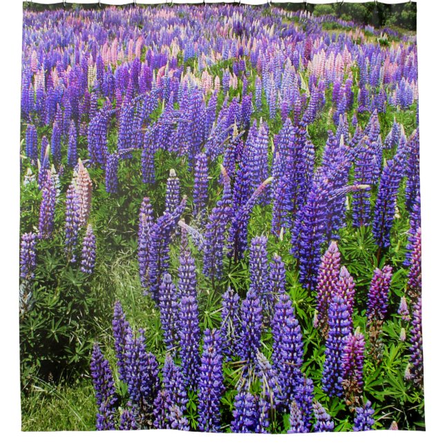 Rideaux De Douche Bluebonnets Blue Floral Texas Texan Elegant (Devant)
