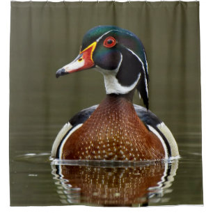 Rideaux De Douche Canard à bois sur l'eau