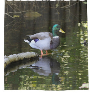 Rideaux De Douche Canard de Mallard