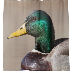 Rideaux De Douche Canard de Mallard