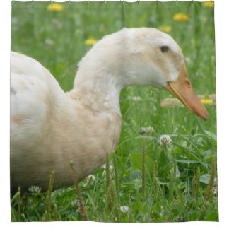 Rideaux De Douche Canard de Saxe