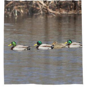 Rideaux De Douche Canards de Mallard