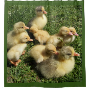 Rideaux De Douche canards et oisons