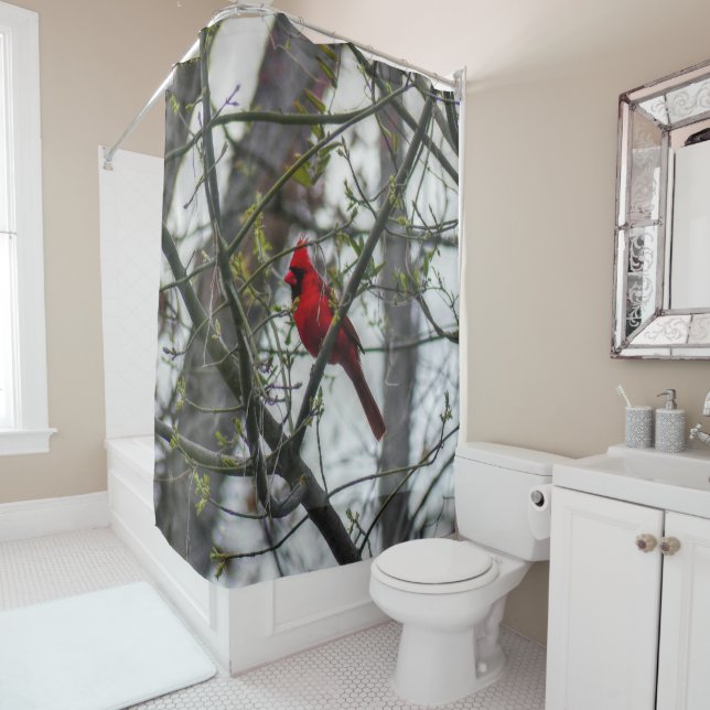 Rideaux De Douche Cardinal (En situation)