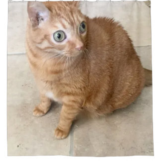 Rideaux De Douche Cat With Big Eyes Shower Curtain