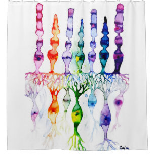 Rideaux De Douche Cellules coniques, cellules en bâtonnet et neurone