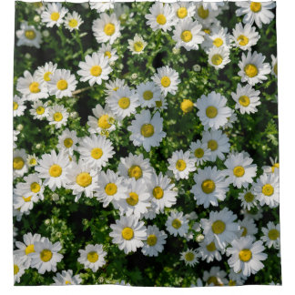 Rideaux De Douche Champ de marguerite du printemps : Arrière - plan