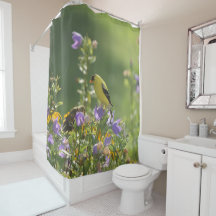 Chardonneret sur une fleur de campanule   