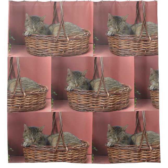Rideaux De Douche Chat Dans Un Panier (Devant)