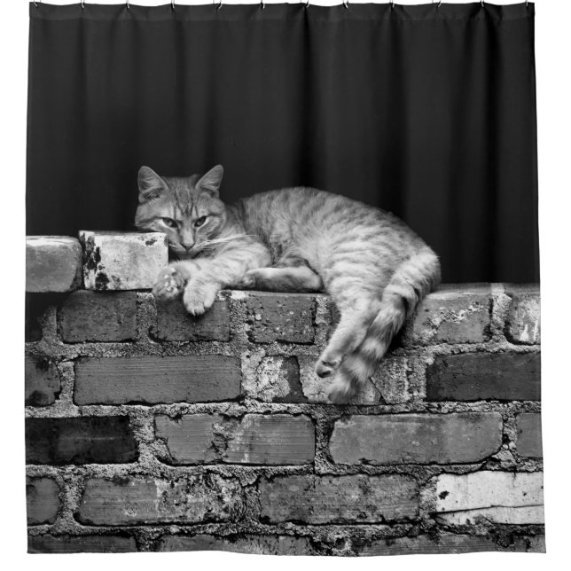 Rideaux De Douche Chat sur mur de brique (Devant)