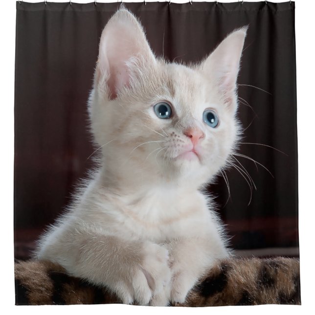 Rideaux De Douche Chaton mignon (Devant)