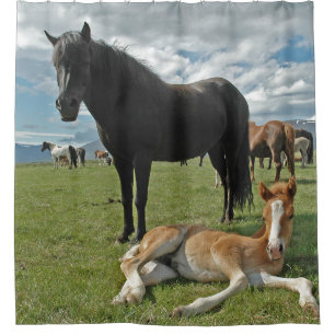 Rideaux De Douche Cheval