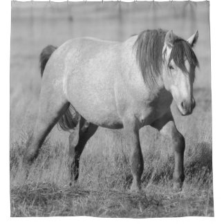 RIDEAUX DE DOUCHE CHEVAUX SAUVAGES DE L'UTAH GRAY STALLION DOUCHE CU