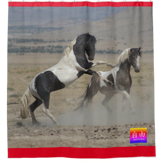 RIDEAUX DE DOUCHE CHEVAUX SAUVAGES D'UTAH PINTO COMBATTING SHOWER CU (Devant)