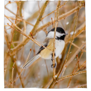 Rideaux De Douche Chickadee au plafond noir - Photo originale