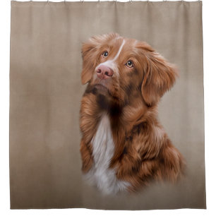 Rideaux De Douche Chien de la Nouvelle-Écosse pour l'extraction du