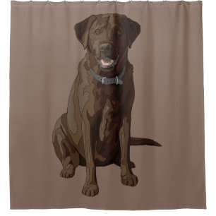 Rideaux De Douche Chocolat Labrador Retriever Dog Sitting