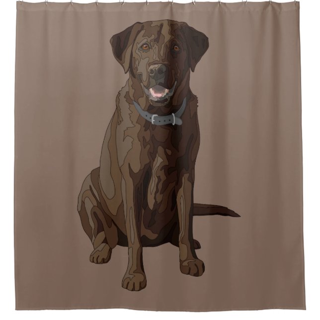 Rideaux De Douche Chocolat Labrador Retriever Dog Sitting (Devant)