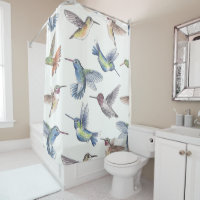 Colibri
