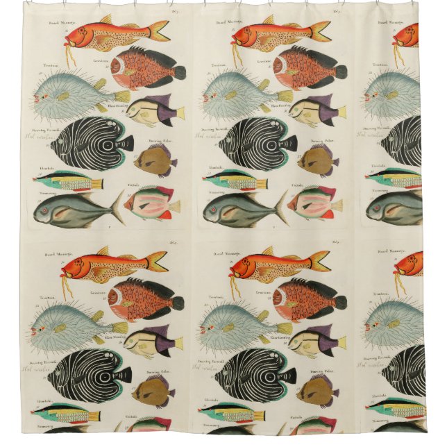 Rideaux De Douche Collection de poissons (Devant)