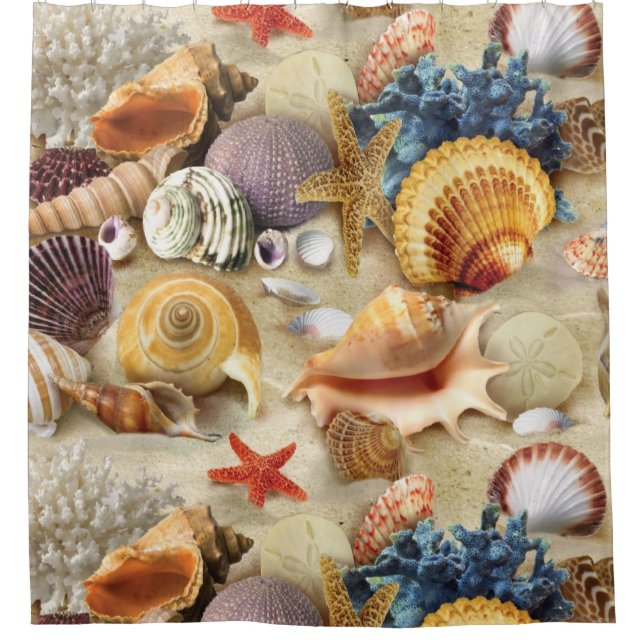 Rideaux De Douche Coques de mer sur la plage (Devant)