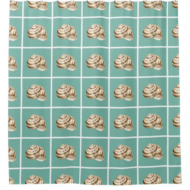 Rideaux De Douche Coquille striée Sepia sur Turquoise (Devant)