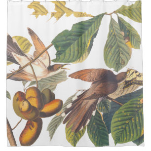 Rideaux De Douche Coucou à bec jaune Audubon