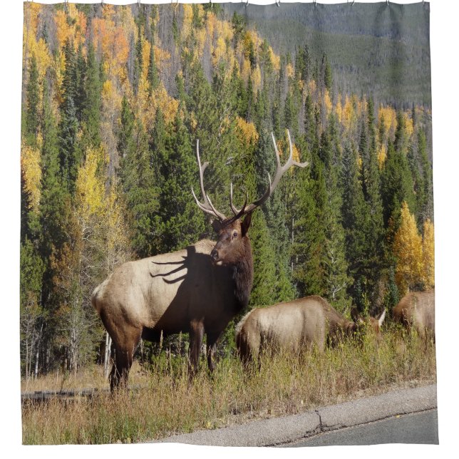 Rideaux De Douche Coureur d'Elk Shower (Devant)