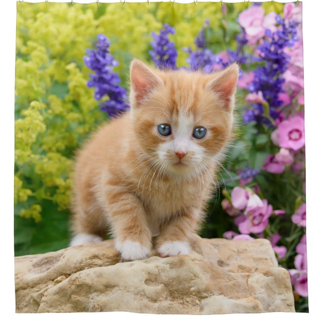 Rideaux De Douche Cute Ginger Chat Kitten Fleur Jardin Portrait Tub (Devant)
