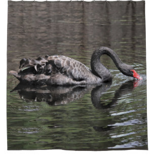 Rideaux De Douche Cygne noir