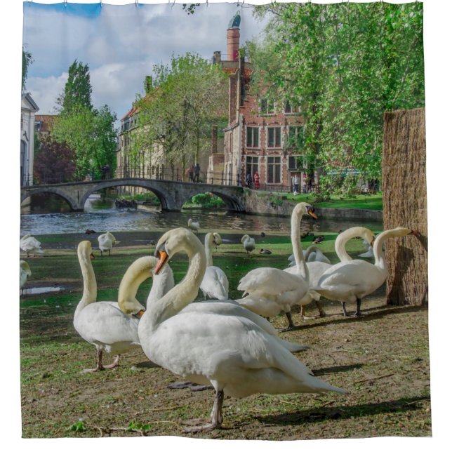 Rideaux De Douche Cygnes blancs dans le centre de Bruges (Devant)