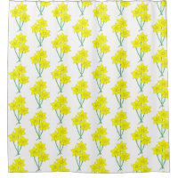 Daffodiles Jaunes Fleurs de printemps Bunch Floral