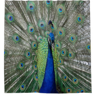 Rideaux De Douche Danse de Peacock