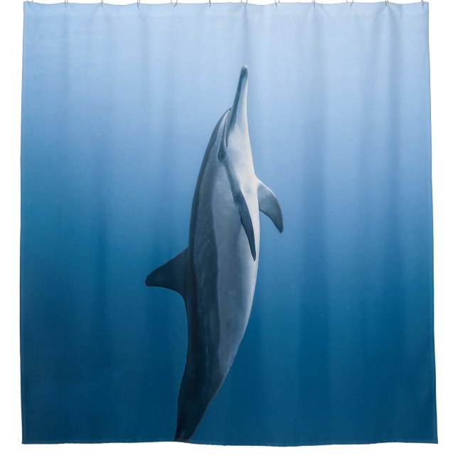 Rideaux De Douche Dauphin de mer mignonne (Devant)