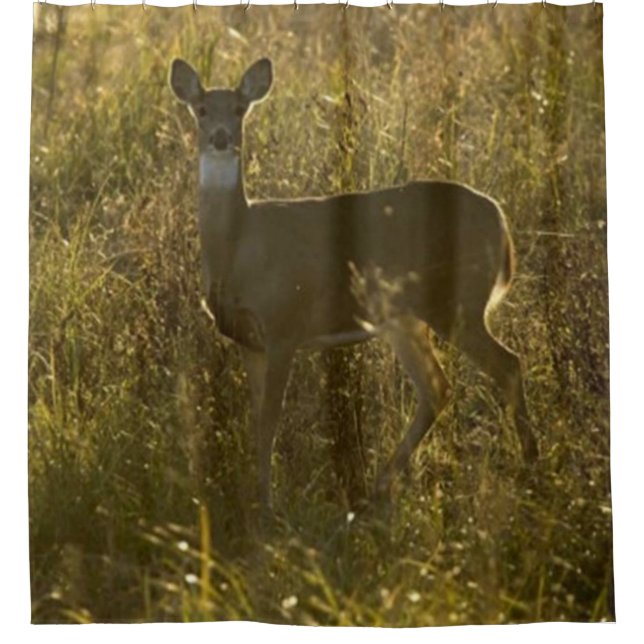 RIDEAUX DE DOUCHE DEAR CAMP 2 DOUCHE CURTAINE (Devant)