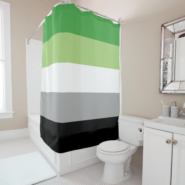 Rideaux De Douche Drapeau Aromantique (En situation)