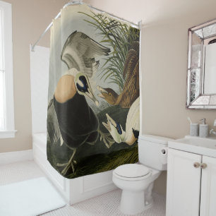 Rideaux De Douche Eider Duck, Eider commun, Audubon Birds of America