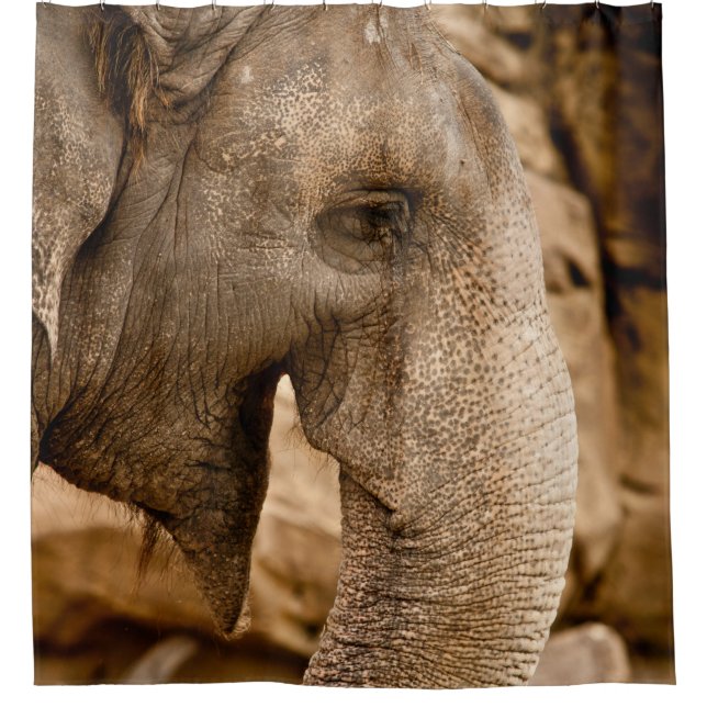 RIDEAUX DE DOUCHE ÉLÉPHANT (Devant)
