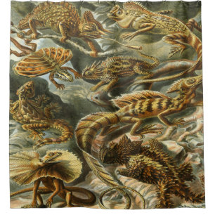 Rideaux De Douche Ernst Haeckel Art Imprimer : Lacertilia