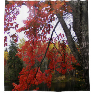 Rideaux De Douche Feuilles d'automne rouges