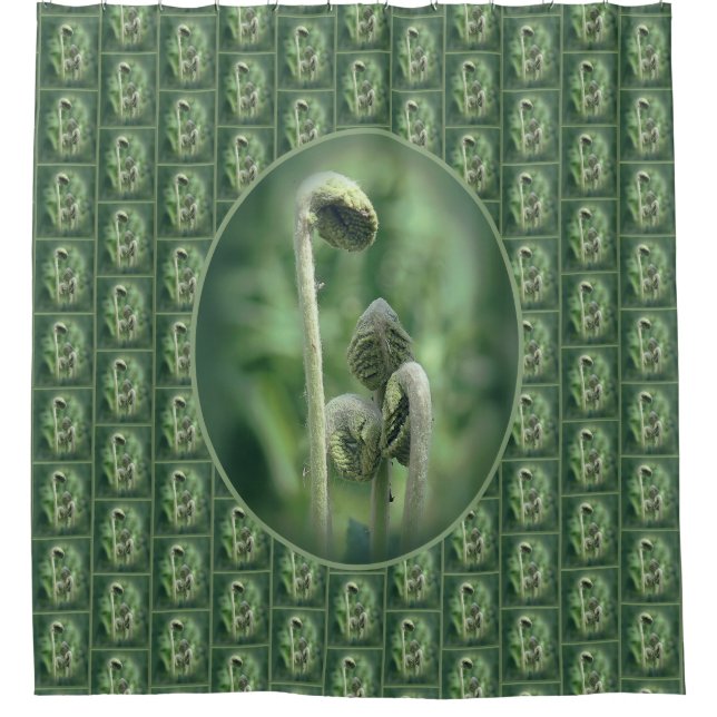 Rideaux De Douche Fiddlehead Ferns Motif naturel (Devant)