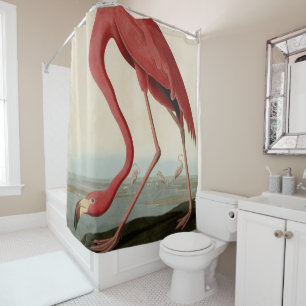 Rideaux De Douche Flamant rose américain d'Audubon's Birds of Americ