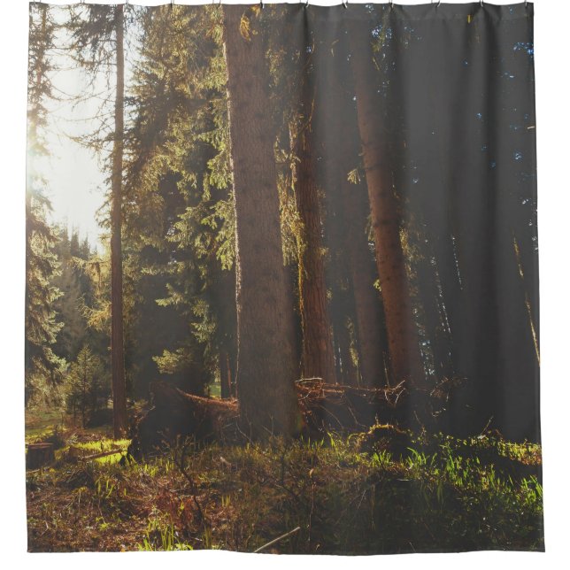 Rideaux De Douche Forêt (Devant)