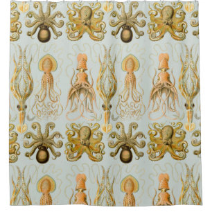 Rideaux De Douche Gamochonia d'Ernst Haeckel