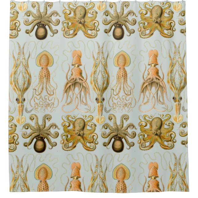 Rideaux De Douche Gamochonia d'Ernst Haeckel (Devant)