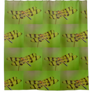 Rideaux De Douche Golden Dragonfly