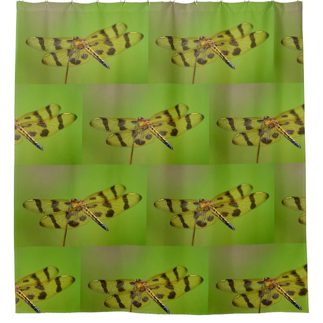 Rideaux De Douche Golden Dragonfly (Devant)