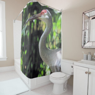 Rideaux De Douche Graine de Sandhill
