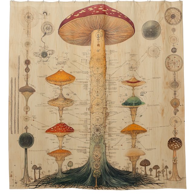 Rideaux De Douche Graphique botanique de champignon vintage (11) (Devant)