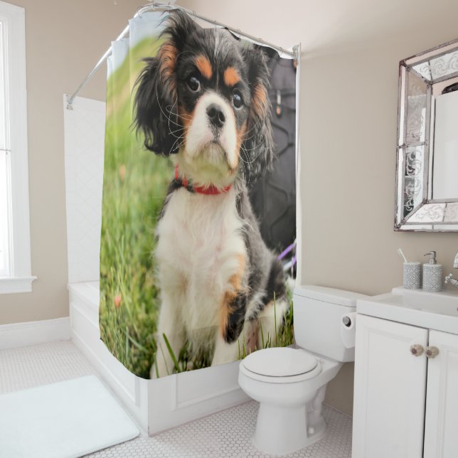 Rideaux De Douche Grave (En situation)